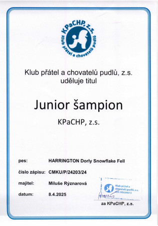 Junior šampion KPaCHP